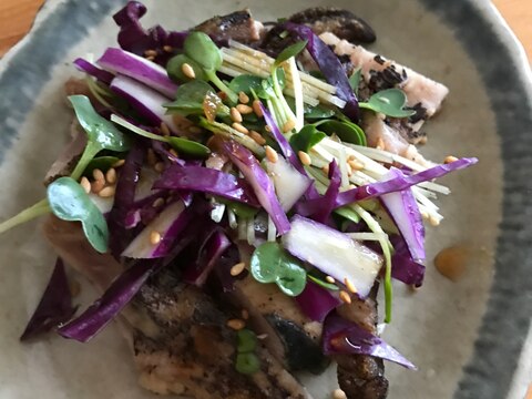 鰹のたたきとカイワレ、紫キャベツのサラダ